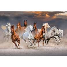 Cotton Framed Art Natur Pur Horse Herd Run Photograph Framed Art