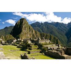 Union Rustic Machu Pichu, Peru Framed Art