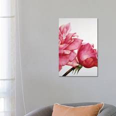 Mercer41 Pink Twin II YPH43-1PC3 Framed Art