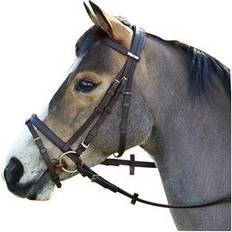 Wintec Bridle Flash