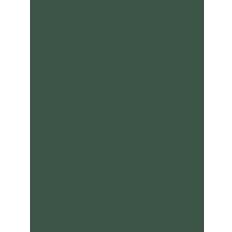 Målarfärg Morris & Co Chalky Matt Emulsion 5l Tump Green Väggfärg
