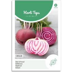 Horti Tops Rødbede frø "Chioggia" Horti Tops