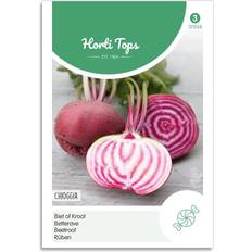 Rødbede frø "Chioggia" Horti Tops