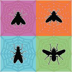 ClassicLiving Berriman Flies Spider's Web Framed Art