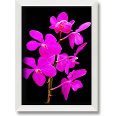 Brayden Studio Vibrant Pinks Single Picture Frame Prints