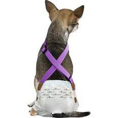 Paw Inspired Dog Diaper Suspenders, Purple, X-Small/Small
