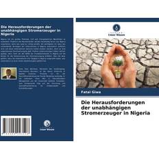 Die Herausforderungen der unabhängigen Stromerzeuger in Nigeria