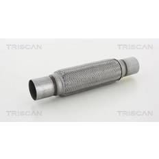 Avgassystem Triscan Flexrohr, Abgasanlage