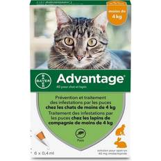 Lapin Animaux de compagnie Advantage Anti-puces Pour Chat (#4 kg) - Orange