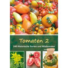 Tomaten 2