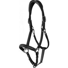 Dyon Ridsport Dyon Lädergrimma 2-i-1 WC Svart Full