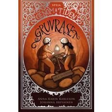 Gruvraset Sala Silvergruva (E-bok)