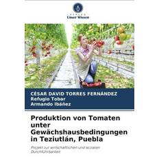 Produktion von Tomaten unter Gewächshausbedingungen in Teziutlán, Puebla