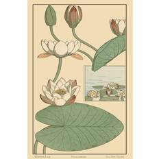 Marlow Home Co Leinwandbild Water Lily II