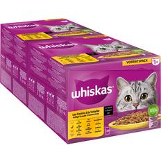 Whiskas Økonomipakke 96 x 85 g Fjerkræudvalg i Sauce