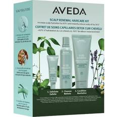 Aveda Scalp Solutions Winter Renewal Set 425 ml