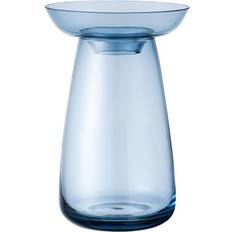 Aqua Culture Small Blue