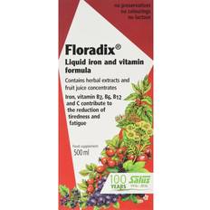 Floradix Liquid Iron Formula 500