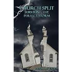 Church Split Surviving the Perfect Storm (Paperback)