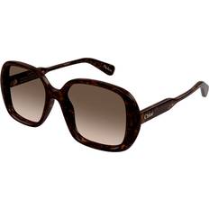 Chloé CH0222S 002