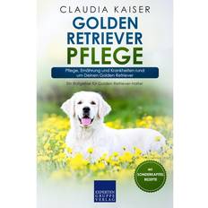 Golden Retriever Pflege