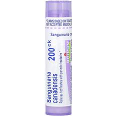 Sanguinaria Canadensis 200C 75 count #15829
