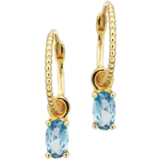 Guld - Kubisk Zirkon Øreringe Scrouples 8 Carat Earrings - Gold/Blue