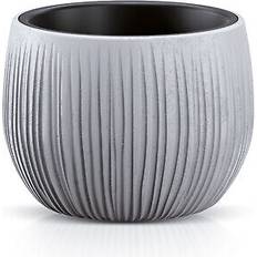 150mm, Mini Flower Plant Planter Pots