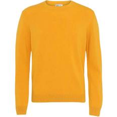Colorful Standard Classic Merino Wool Crew Neck Burned Yellow