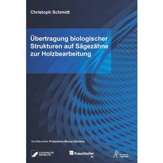 Übertragung biologischer Strukturen auf Sägezähne zur Holzbearbeitung: 1