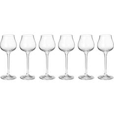 Verre Verres à shot Georg Jensen Sky Verre à shot 6cl 6pcs