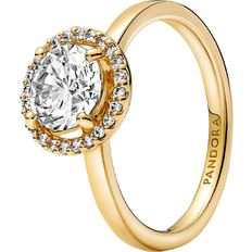 Pandora Sparkling Round Halo Ring - Gold/Transparent