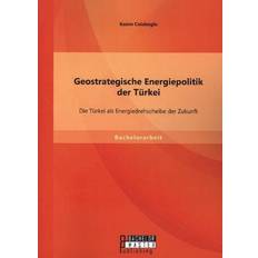 Geostrategische Energiepolitik der Türkei: Die Türkei als Energiedrehscheibe der Zukunft (Geheftet)