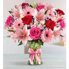 Flowers Fields of Europe Romance XL
