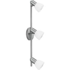 Palma Nickel