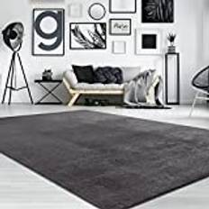 Paco Home Modern Cosy Living Room Rug Short Pile 200x280 cm Anthracite