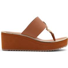 Aldo Maesllan - Medium Brown