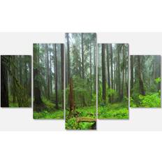 Framed Art Design Art Hoh Rain Forest Large Landscape Photography Framed Art 60x60"