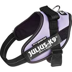 Julius-K9 Dog Collars & Leashes Pets Julius-K9 IDC Powerharness, S/Mini, Purple
