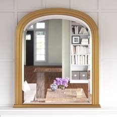 Three Posts Burgett Resin Mounted Wall Mirror