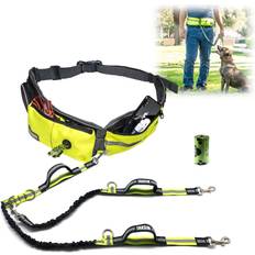 The Ultimate Two Dogs Hands Free Leash Training