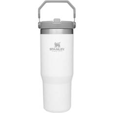 Stanley The IceFlow Flip Straw Travel Mug 30fl oz