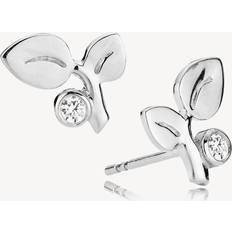 Bärnstenar Smycken Izabel Camille Amber Earstuds - Sterling Silver