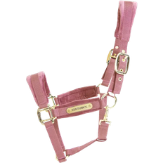 Kentucky Velvet Halter Old rose