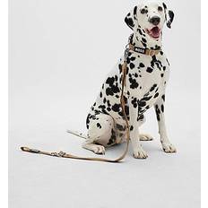 Husdjur BOSS Dog Lead With Jacquard Logo Detailing