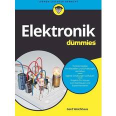 Elektronik für Dummies (E-book)