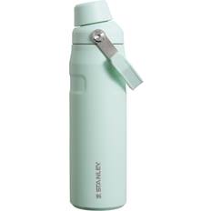 Stanley Camping & Outdoor Stanley 24 oz. AeroLight IceFlow Bottle with Fast Flow Lid, Green