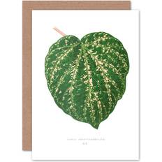 Wee Blue Coo Leaf Cissus Porphyrophyllus Greeting Card