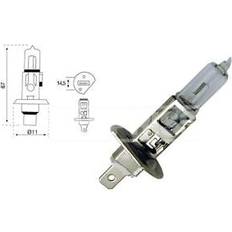 Carpriss glühlampe 24v 75w 10ud
