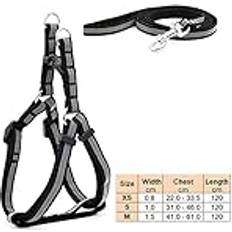 Cat Harness Leash Justerbar reflekterande